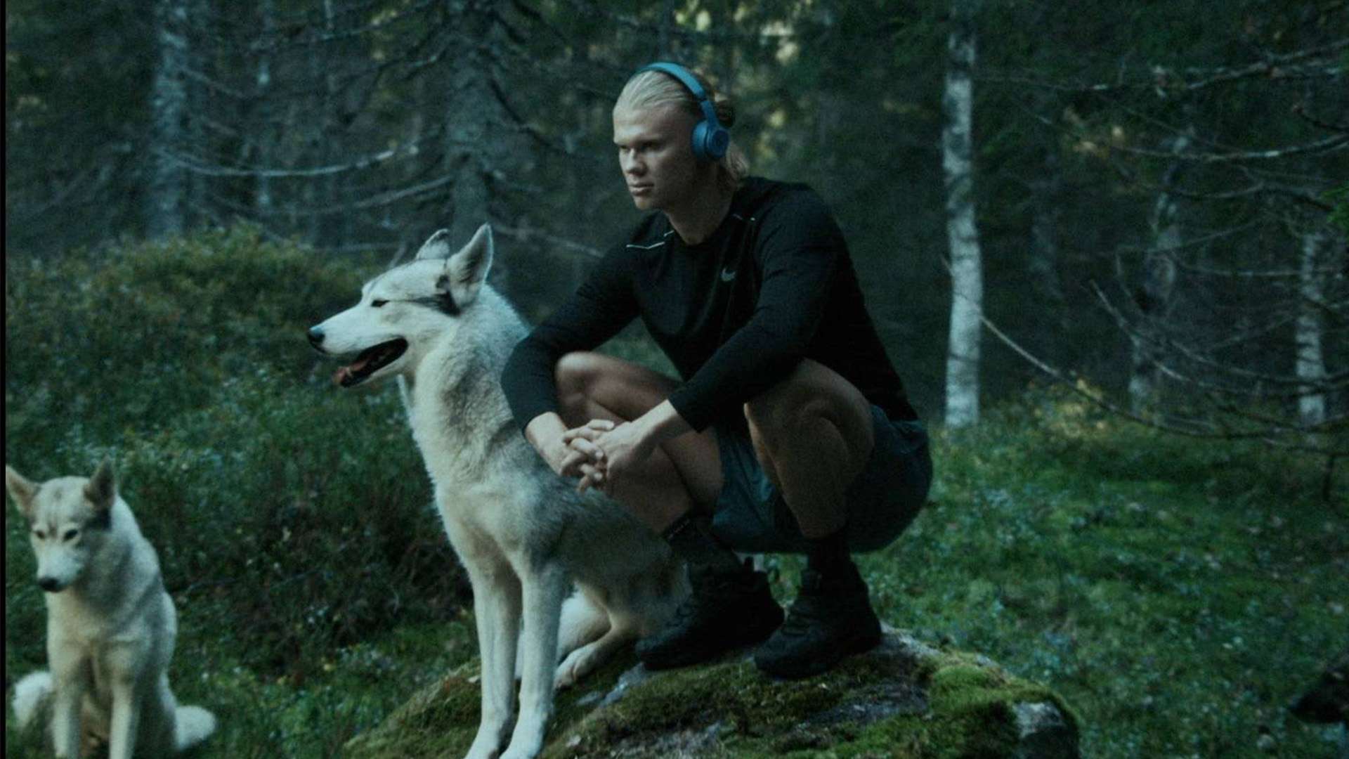 继续保持高 继续保持高